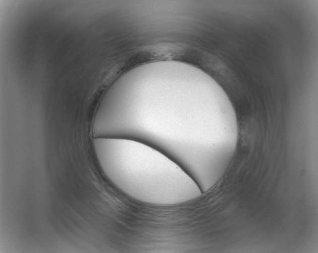 X0000064760314200602101034