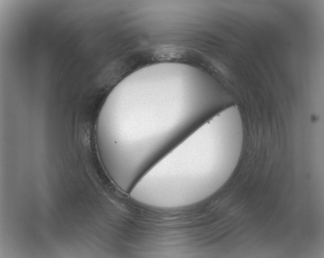 X0000064760315200602101034