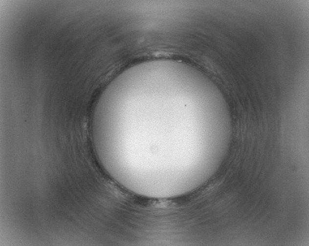 X0000064760321200602101034