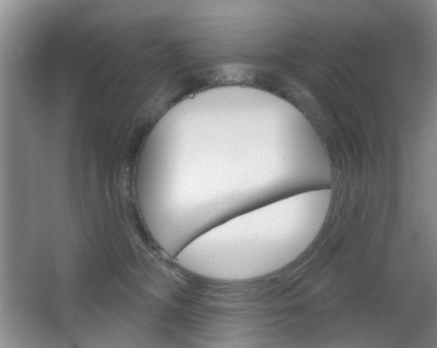 X0000064760326200602101034