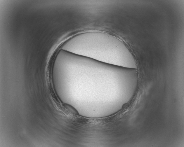 X0000064760343200602101033