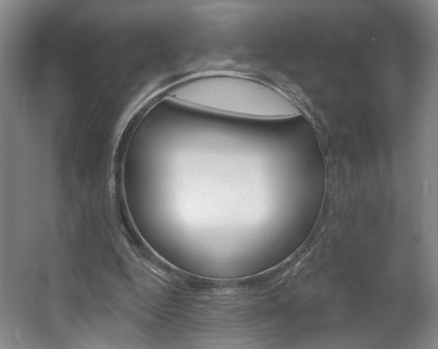 X0000064760344200602101033
