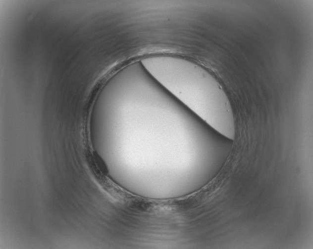 X0000064760352200602101033