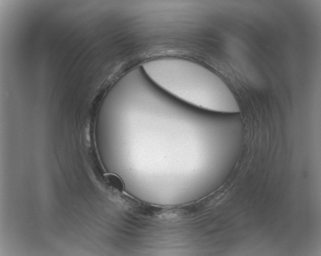 X0000064760358200602101033