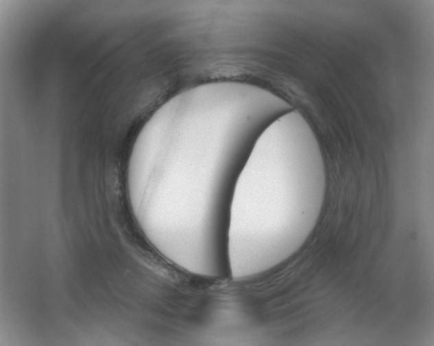 X0000064760362200602101033
