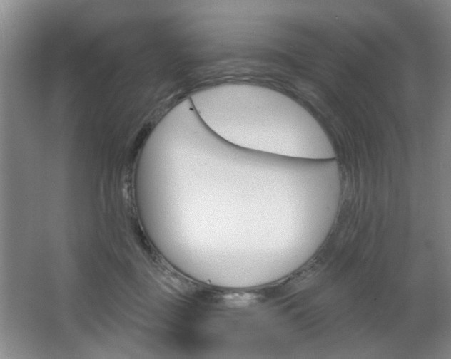 X0000064760363200602101033