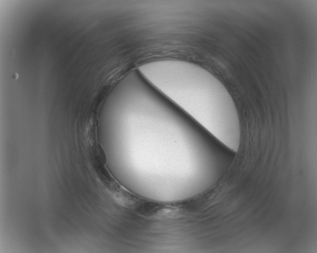 X0000064760364200602101034