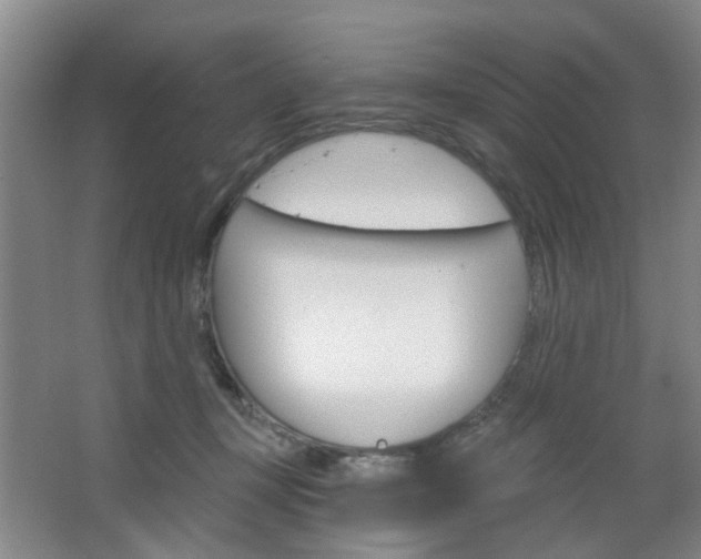 X0000064760367200602101034