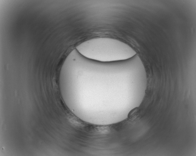 X0000064760377200602101034