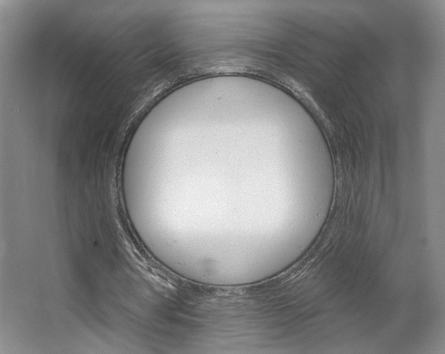 X0000064760386200602101033