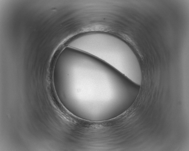 X0000064760392200602101033