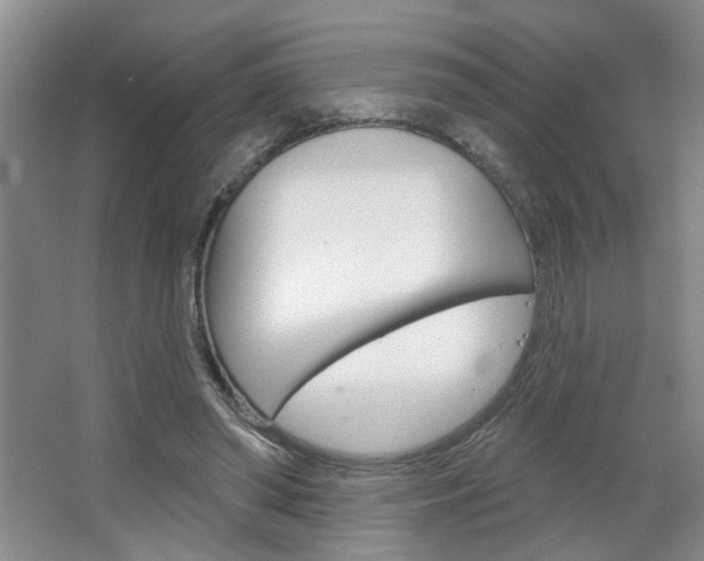 X0000064760398200602101033