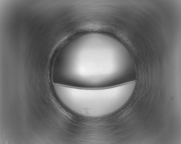 X0000064760399200602101033