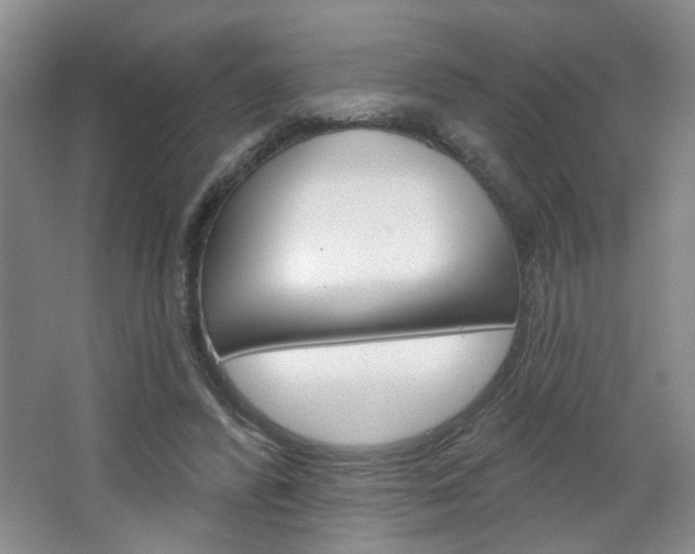 X0000064760400200602101033