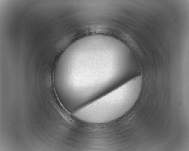 X0000064760401200602101033