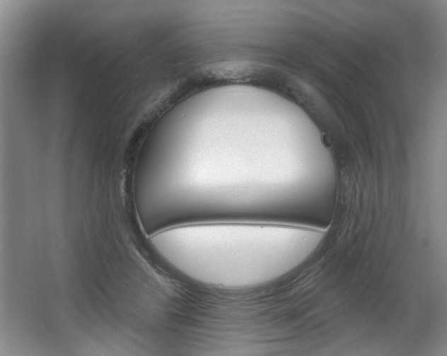 X0000064760404200602101033
