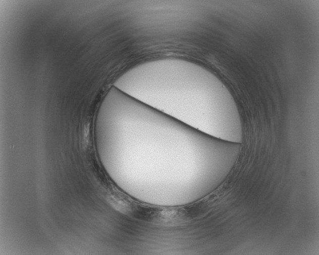 X0000064760406200602101033