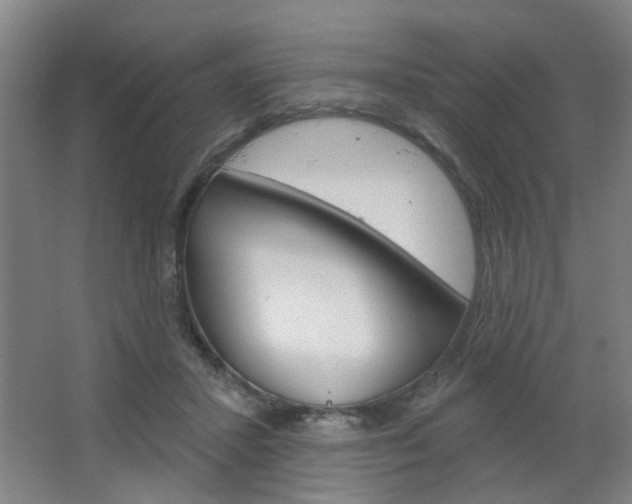 X0000064760407200602101033