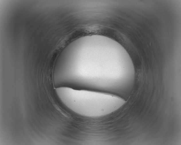 X0000064760408200602101033