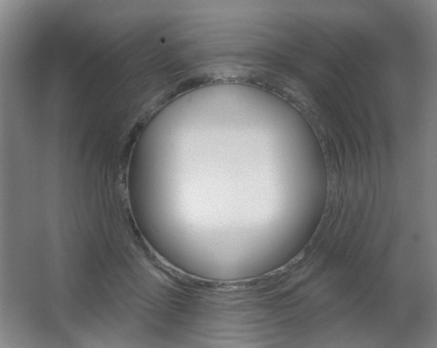X0000064760411200602101033