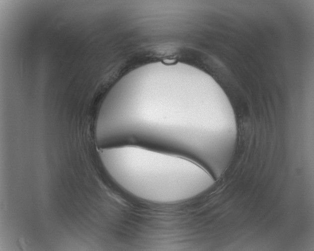 X0000064760412200602101033