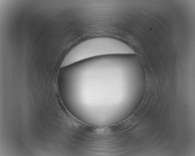X0000064760415200602101033