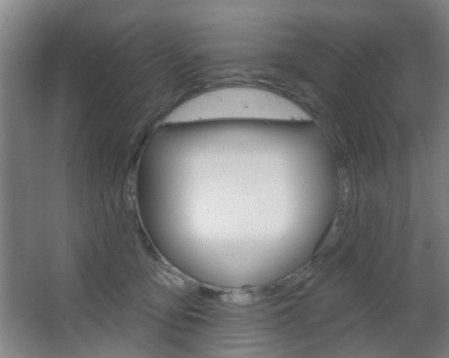 X0000064760419200602101032