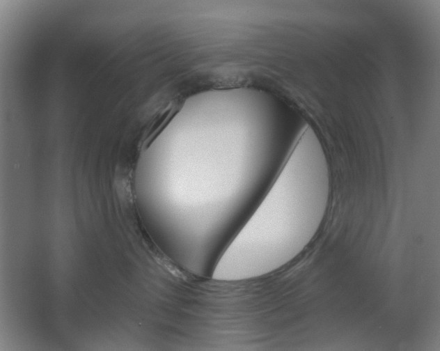 X0000064760432200602101032