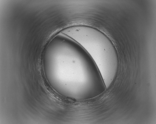 X0000064760434200602101031