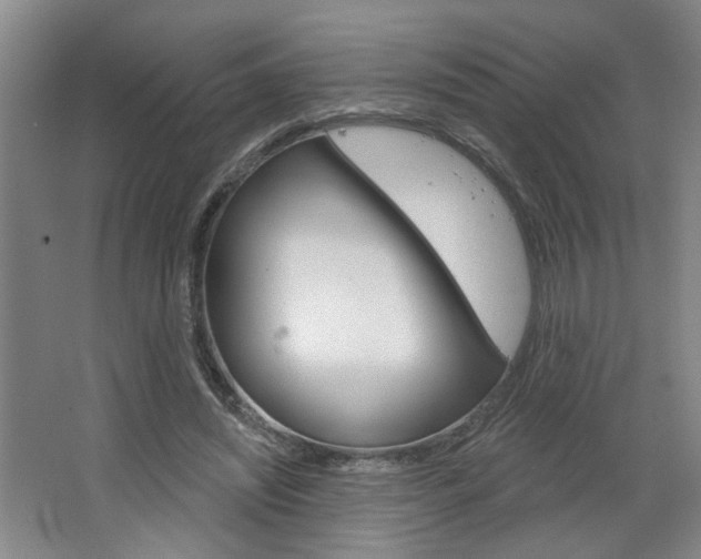 X0000064760444200602101032