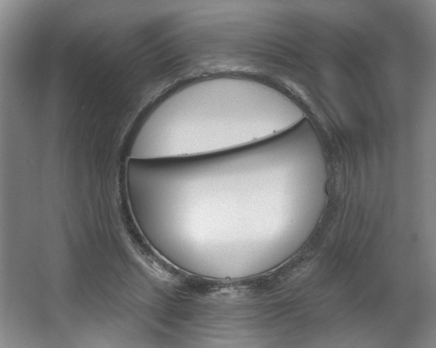X0000064760447200602101032