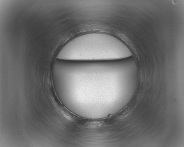 X0000064760449200602101032