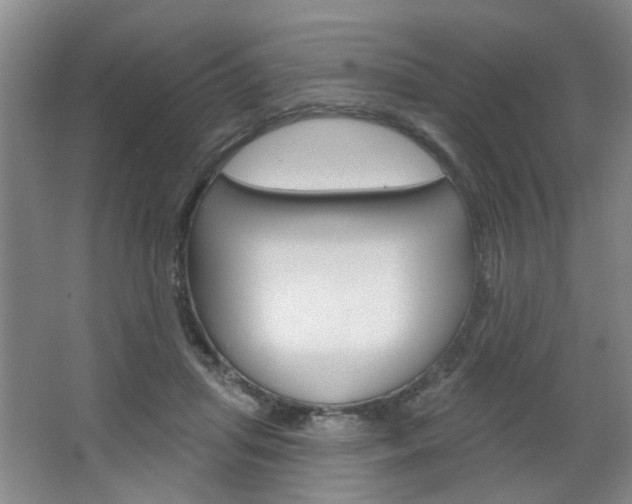 X0000064760455200602101032