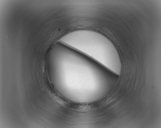 X0000064760458200602101032