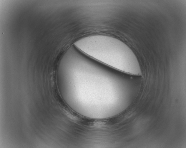 X0000064760462200602101032
