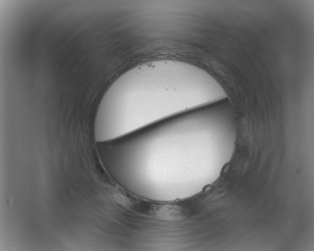 X0000064760463200602101032