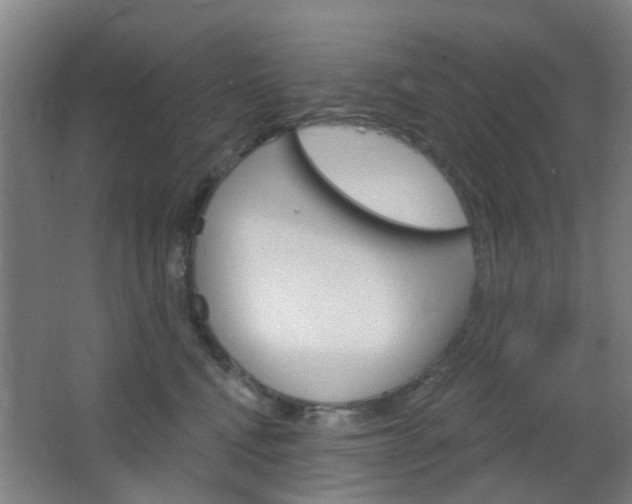 X0000064760472200602101032