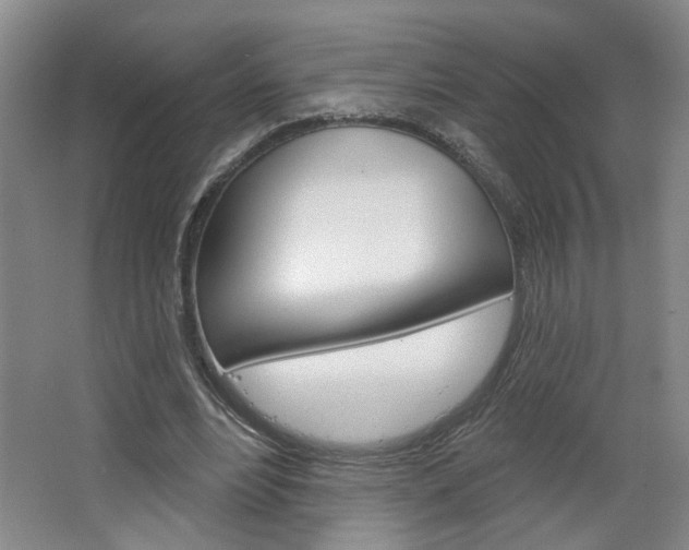 X0000064760488200602101031