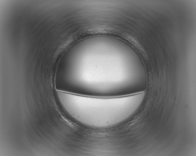 X0000064760489200602101031