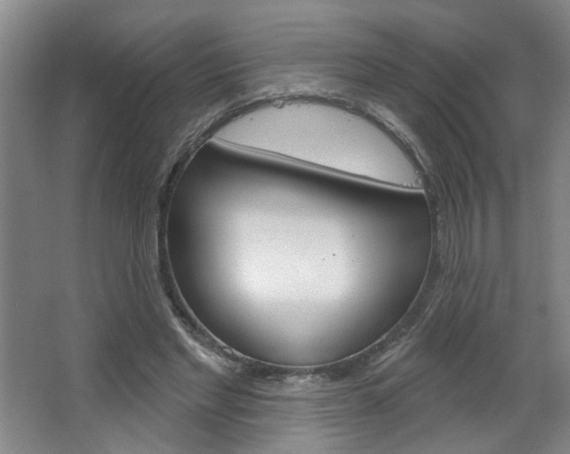 X0000064760493200602101031
