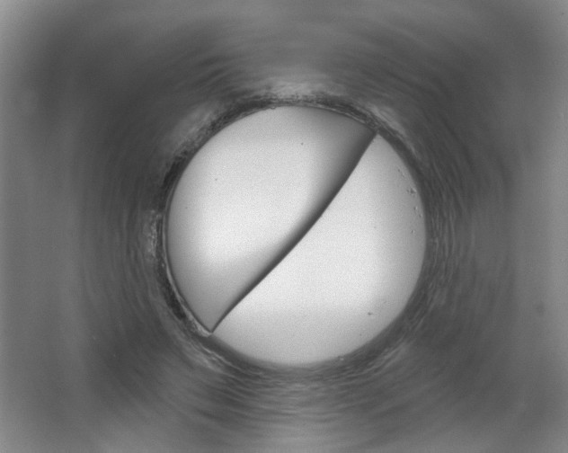 X0000064760495200602101031