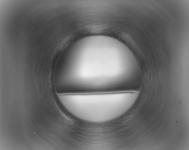 X0000064760497200602101031