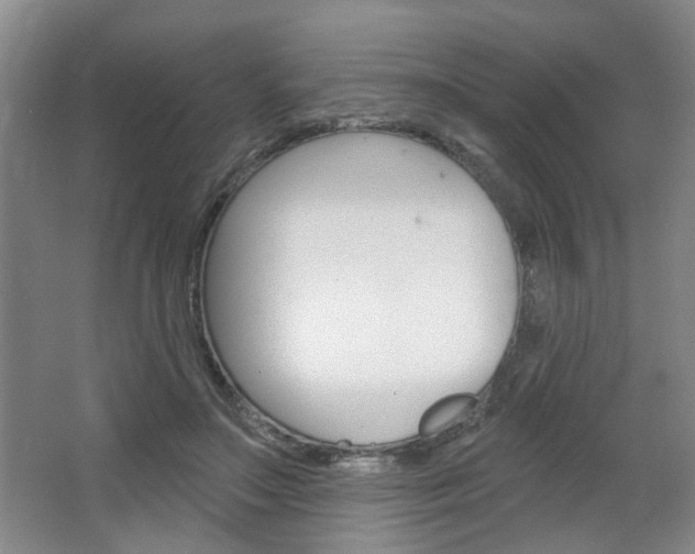 X0000064760499200602101031