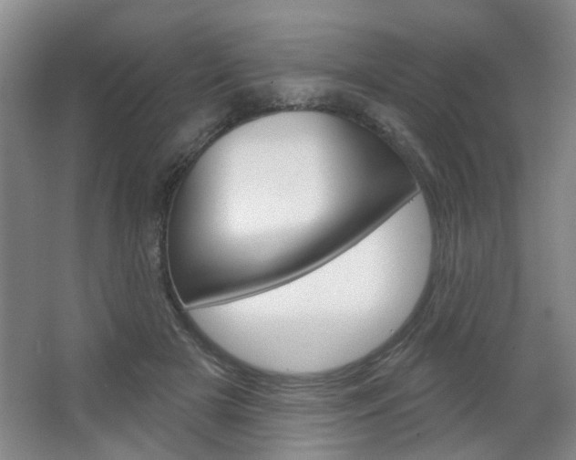 X0000064760505200602101031
