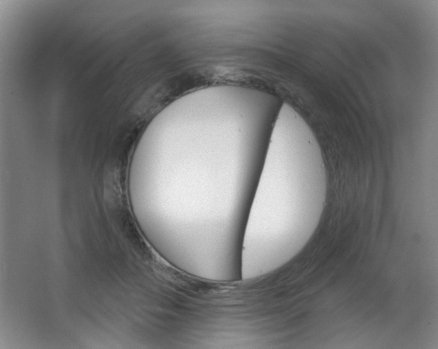 X0000064760506200602101031