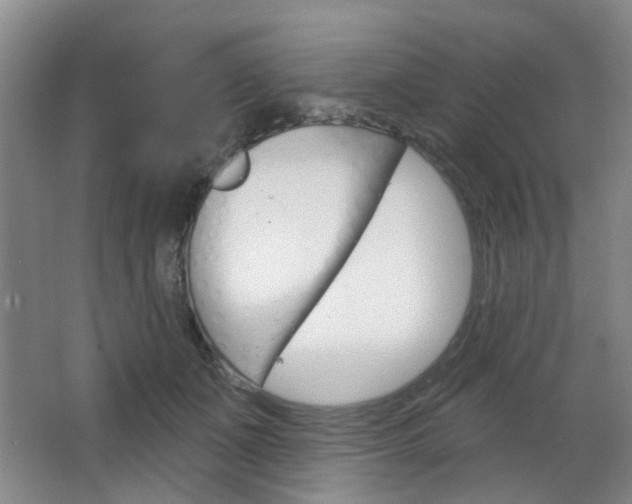 X0000064760511200602101031