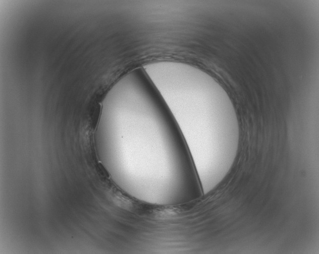 X0000064760513200602101031