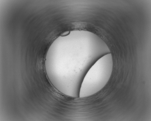 X0000064760514200602101031