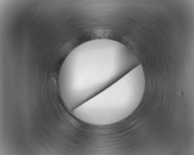 X0000064760522200602101031