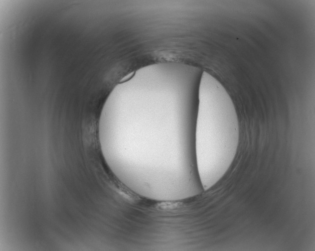 X0000064760526200602101031